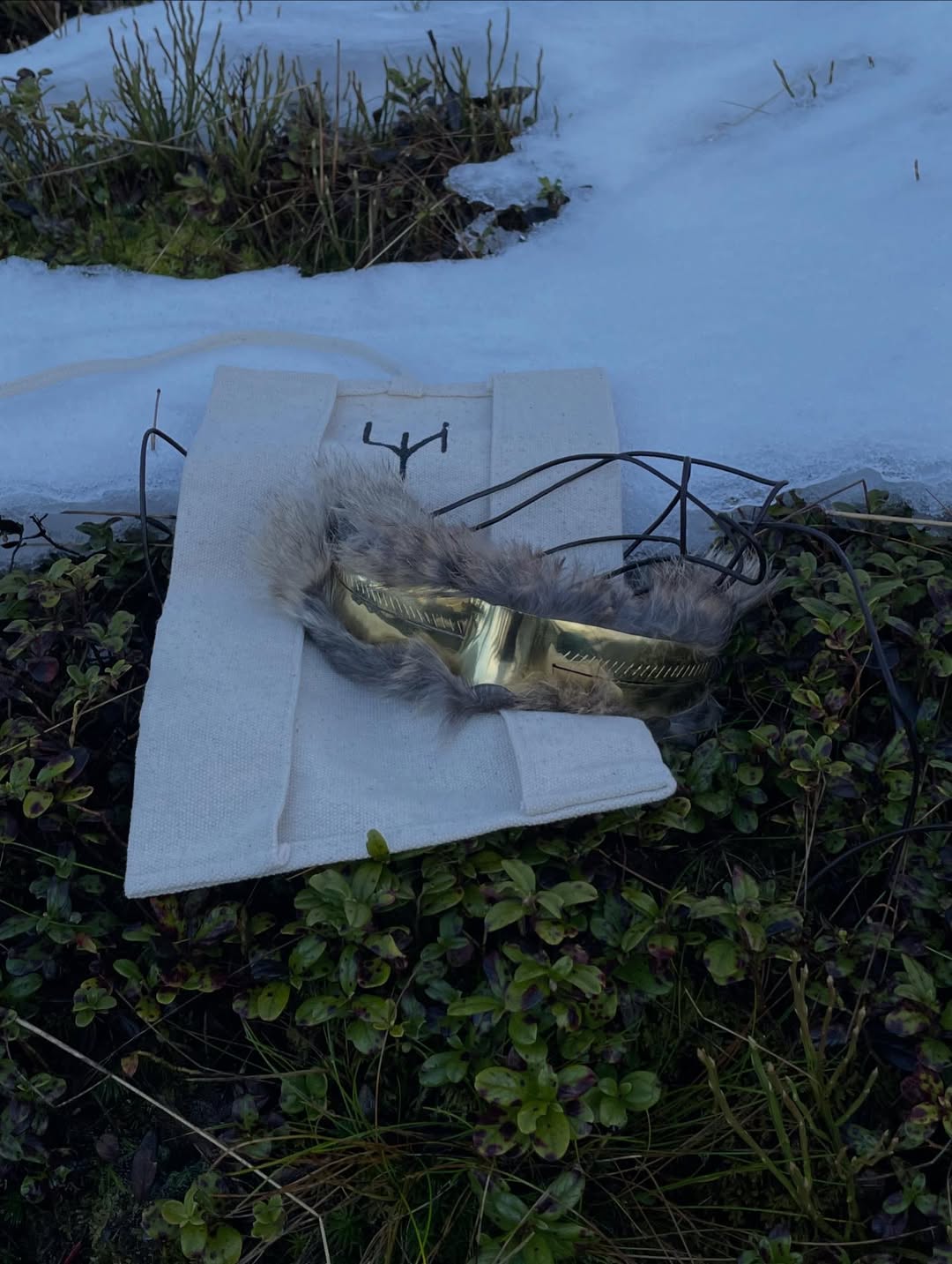 Snow Goggles — Brass Fur Edition
