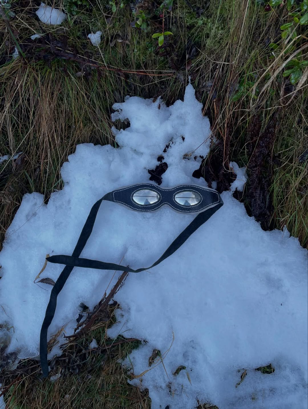 Silver snow goggles resting on melting snow among grass and berries