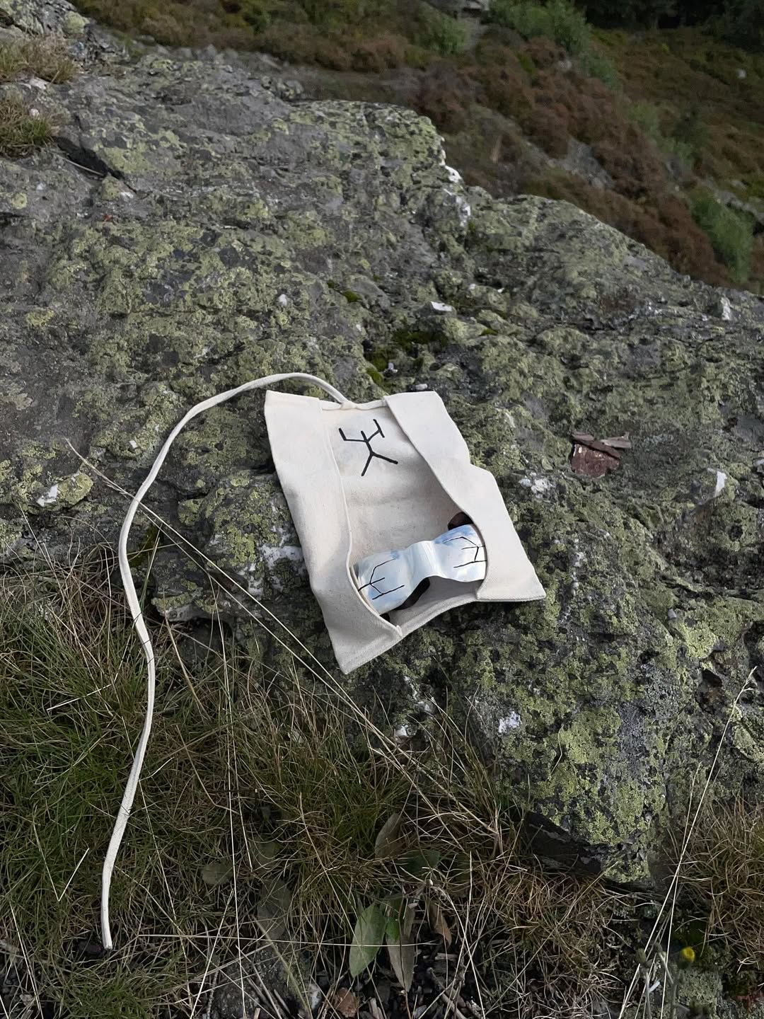 URSUUNA cotton wrap case with slit cut silver goggles on mossy rock